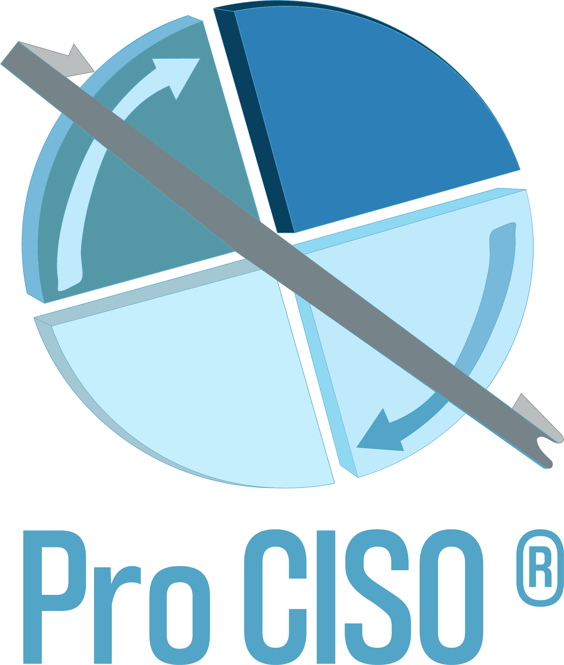 Pro CISO